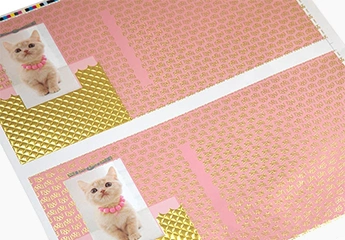 Embossing Foil Stamping